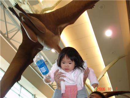 Calgary airport