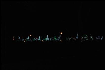 CalgaryZooLight_02.JPG