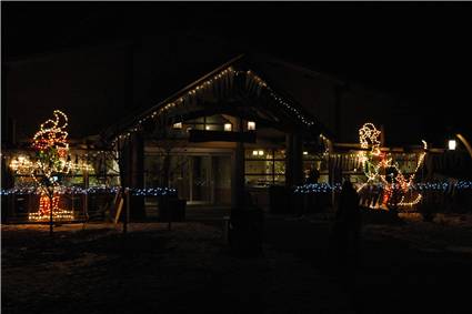 CalgaryZooLight_03.JPG