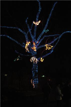 CalgaryZooLight_06.JPG