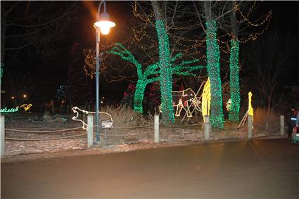 CalgaryZooLight_07.JPG