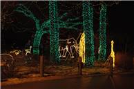 CalgaryZooLight_08.JPG