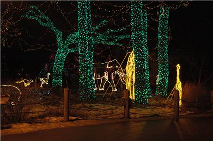 CalgaryZooLight_08.JPG