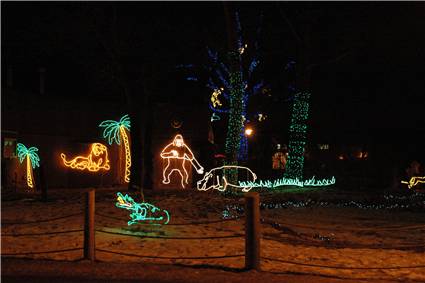 CalgaryZooLight_09.JPG