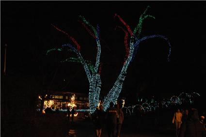 CalgaryZooLight_10.JPG