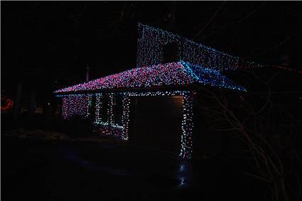 CalgaryZooLight_11.JPG