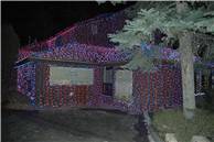 CalgaryZooLight_12.JPG