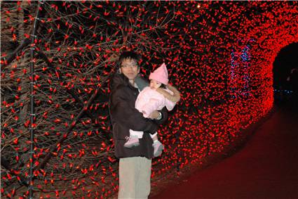 CalgaryZooLight_15.JPG