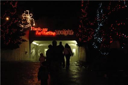 CalgaryZooLight_20.JPG