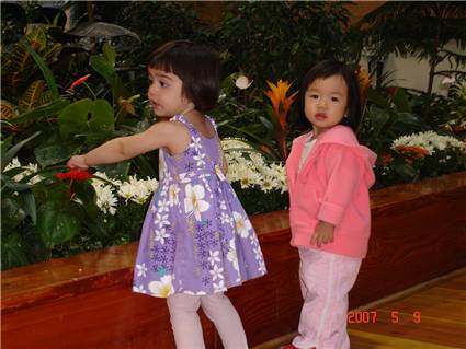 DSC04174.JPG