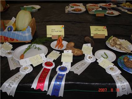 DSC04872.JPG