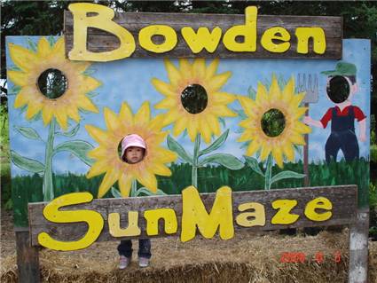 BowdenSunMaze_10