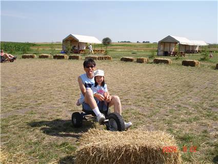 CalgaryCornMaze01.JPG