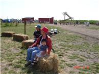 CalgaryCornMaze02.JPG