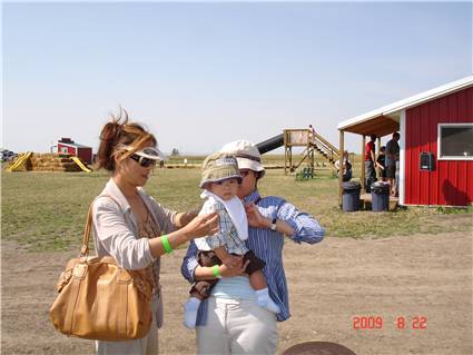 CalgaryCornMaze04.JPG