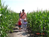 CalgaryCornMaze05.JPG