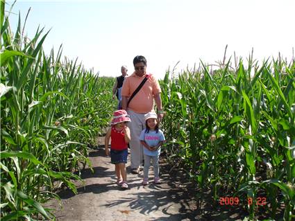 CalgaryCornMaze05.JPG