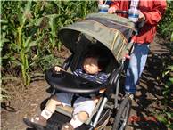 CalgaryCornMaze06.JPG