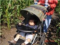 CalgaryCornMaze06.JPG