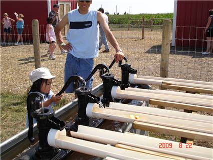 CalgaryCornMaze15.JPG