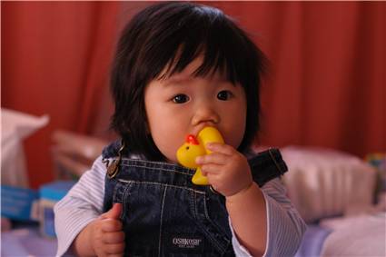 biting yellow duck -2