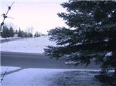 20050428_snow_again.jpg