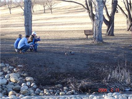 Confederation Park 20060111i