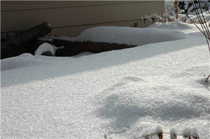 Snowflakes at the front door