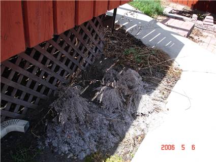 messy back yard - under deck